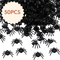 Halloween Black Spiders 50pcs